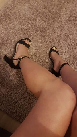 Paypig gesucht