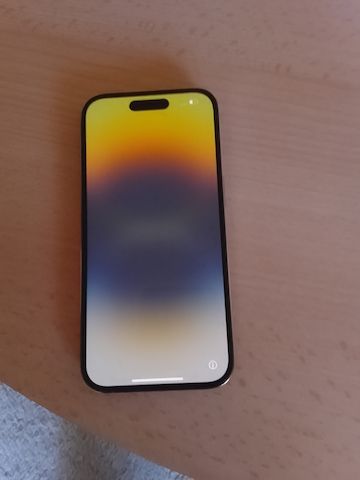 Apple Iphone 14 PRO Gold gebraucht