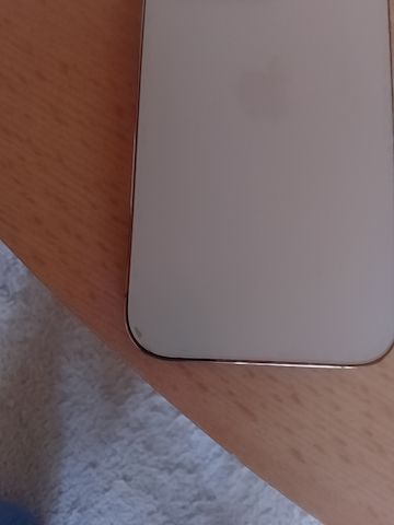 Apple Iphone 14 PRO Gold gebraucht