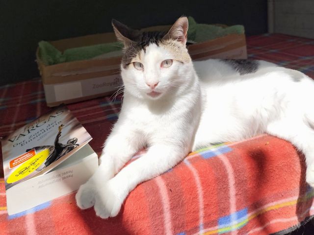 ONNI - Lass´ die Sonne in Dein Herz!