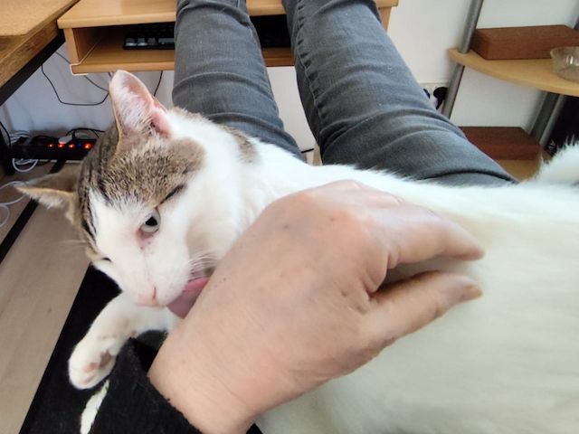 ONNI - Lass´ die Sonne in Dein Herz!