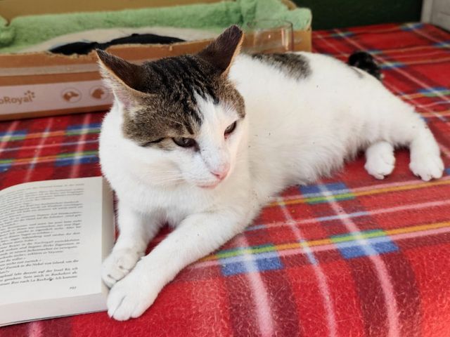 ONNI - Lass´ die Sonne in Dein Herz!