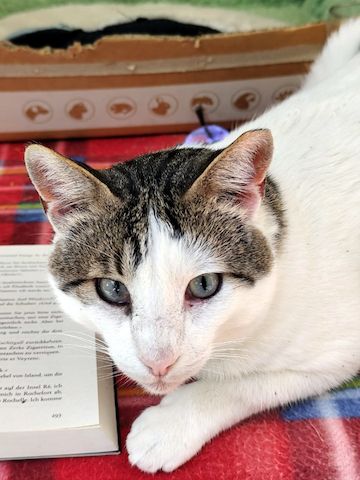 ONNI - Lass´ die Sonne in Dein Herz!
