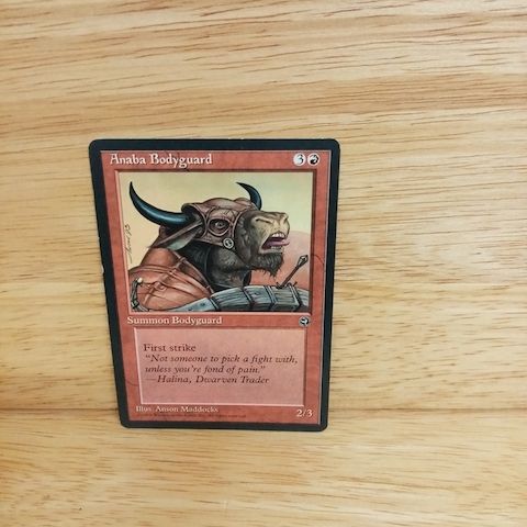 Magic The Gathering-Anaba Bodyguard.