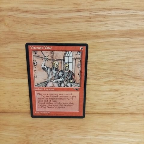 Magic The Gathering-Veterans Voice