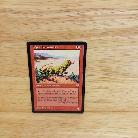 Magic The Gathering-Pyric Salamander