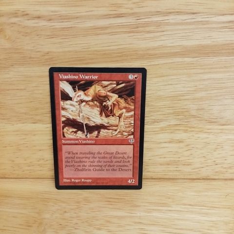 Magic The Gathering-Viashino Warrior