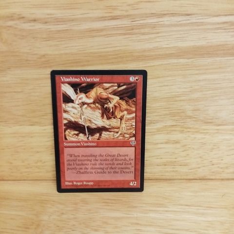 Magic The Gathering-Viashino Warrior