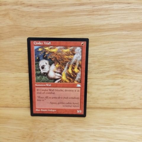 Magic The Gathering-Cinder Wall