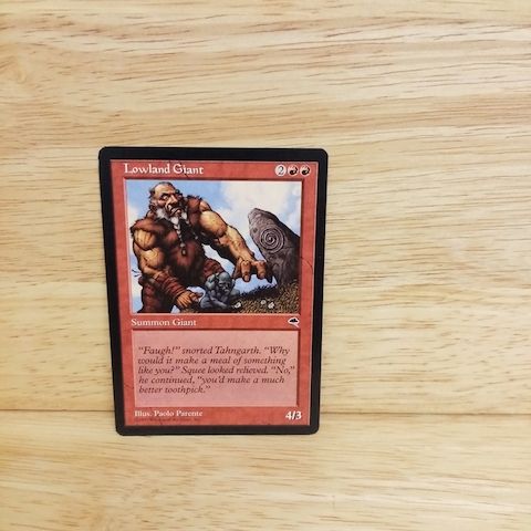 Magic The Gathering-Lowland Gigand