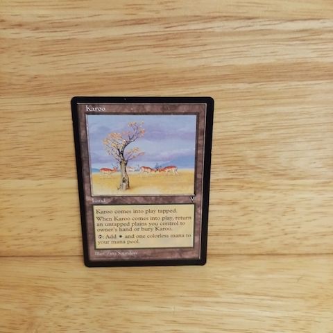 Magic The Gathering-Karoo