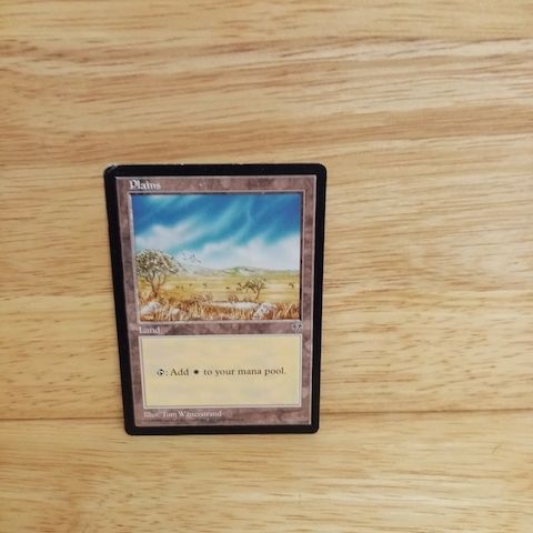 Magic The Gathering-Plains
