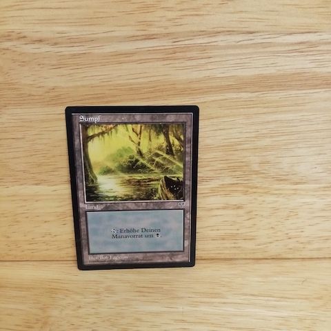 Magic The Gathering-Sumpf