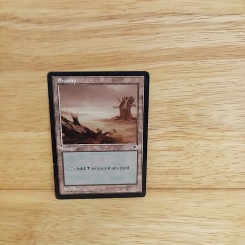 Magic The Gathering-Swamp