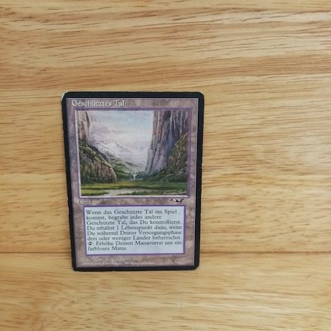 Magic The Gathering-Geschütztes Tal