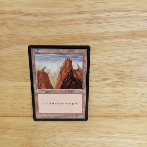 Magic The Gathering-Mountain
