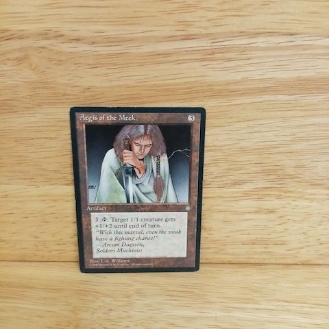 Magic The Gathering-Aegis of the Meek
