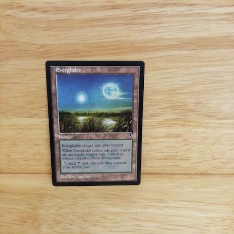 Magic The Gathering-Everglades