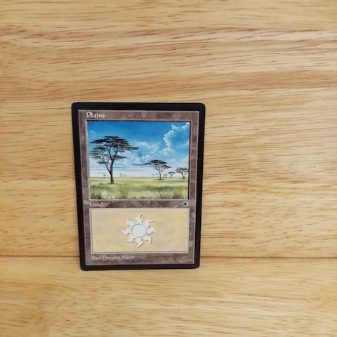 Magic The Gathering-Plains