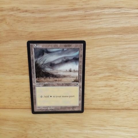 Magic The Gathering-Plaints