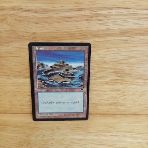 Magic The Gathering-Island