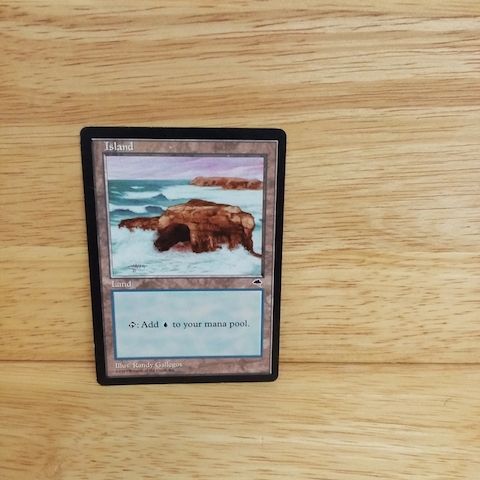 Magic The Gathering-Island