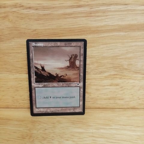 Magic The Gathering-Swamp