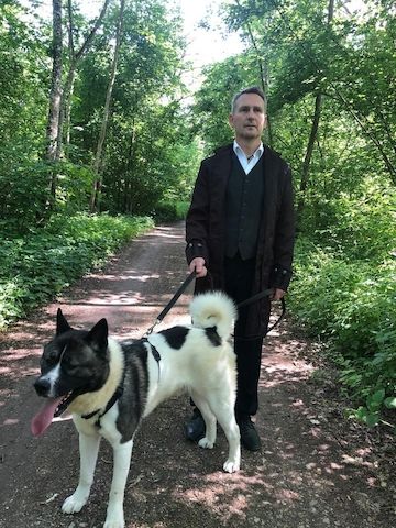 American-Akita Welpen
