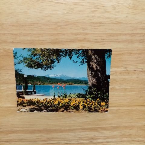 Postkarte-Pörtschach in Kärnten.