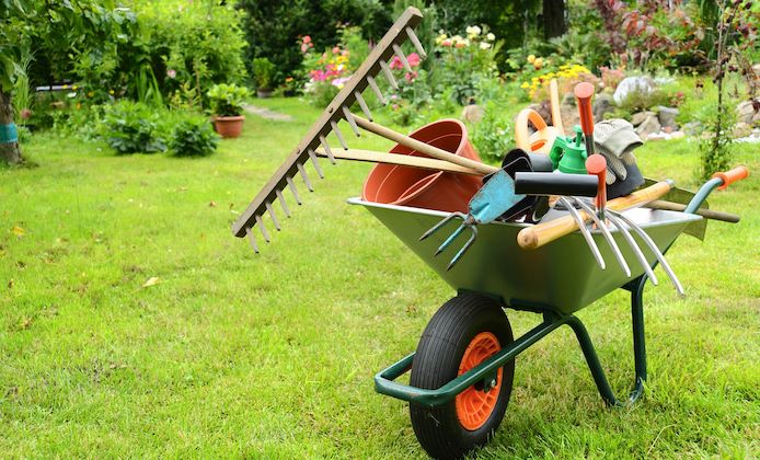 Biete Hilfe im Garten, Gartenpflege, Gartenhilfe