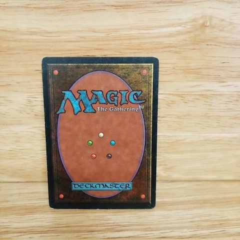 Magic The Gathering-MTG-The Rack.
