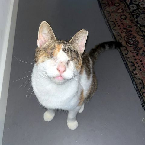 CAROLINE - Blindchen möchte kuscheln statt gucken