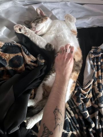 CAROLINE - Blindchen möchte kuscheln statt gucken