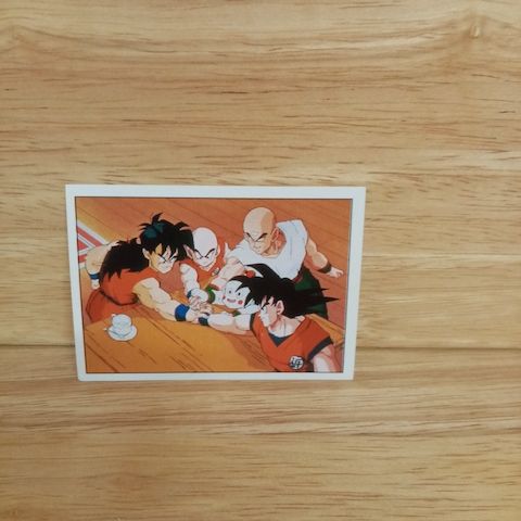Panini Sammelsticker Dragonball Z-Nr. 75