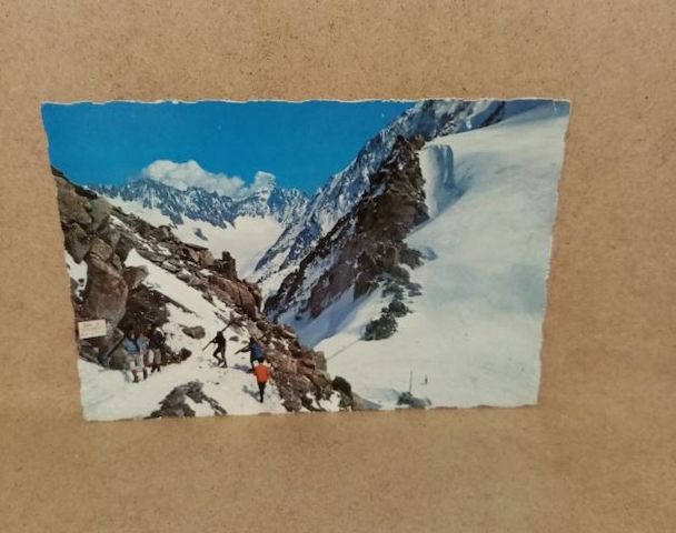Ansichtskarte D-119-AU PAYS DU MONT-BLAC.