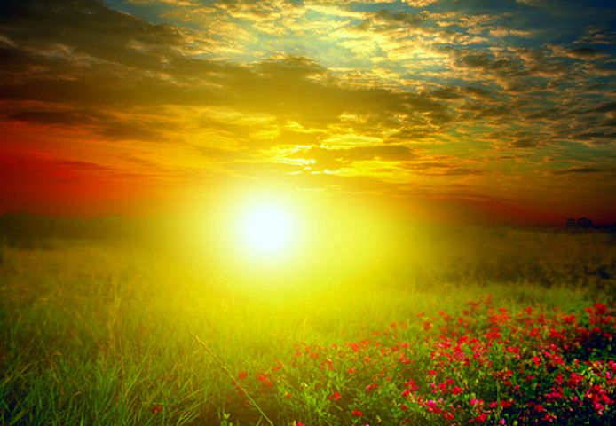1 Frage ▶ 1 Antwort | Kartenlegen + Energiearbeit