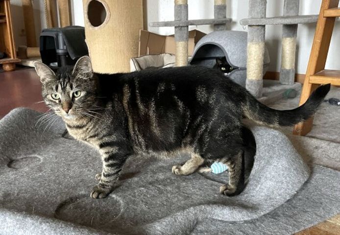 TONJA & MAXI - Traumpaar sucht gemeinsames Zuhause