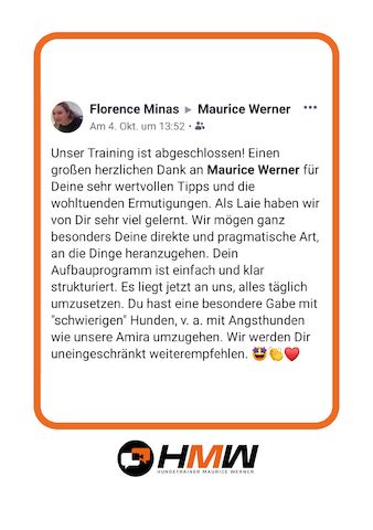 Innovatives Hundetraining durch Videoanalyse