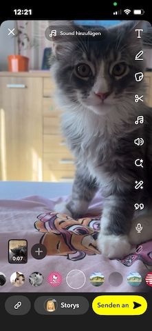 Kater
