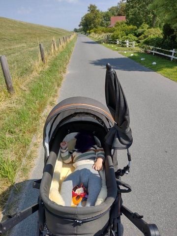 Kinderwagen Gesslein