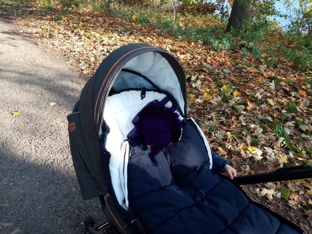 Kinderwagen Gesslein