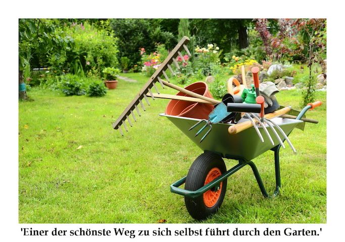 Biete Hilfe im Garten, Gartenpflege, Gartenhilfe