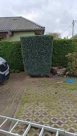 Zuverlässige Gartenhilfe gesucht? Ich helfe gern – Rasen, Hecken, Holz & mehr 