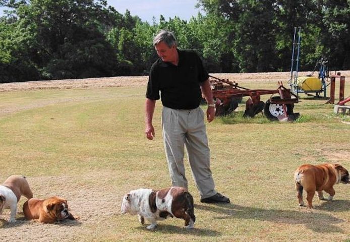 Wunderschöne englische Bulldoggenwelpen (jessicanoemiablessinflustinalo@gmail.com) Wunderschöne englische Bulldoggenwelpen (jessicanoemiablessinflustinalo@gmail.com)