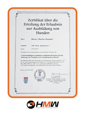 Professionelles Hundetraining – Persönlich oder auch via Video