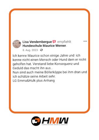 Professionelles Hundetraining – Persönlich oder auch via Video