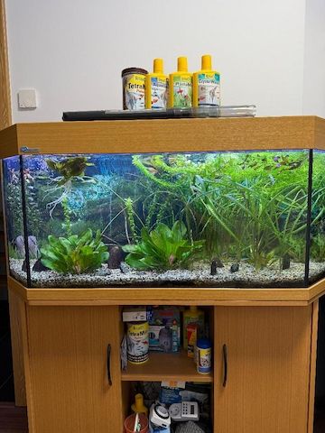 Komplettes Aquarium mit viel Zubehör nur Abholung!