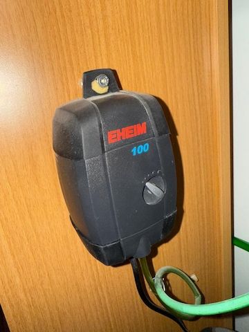 Komplettes Aquarium mit viel Zubehör nur Abholung!