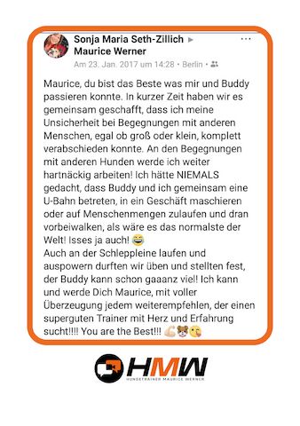 Professionelles Hundetraining – Persönlich oder auch via Video