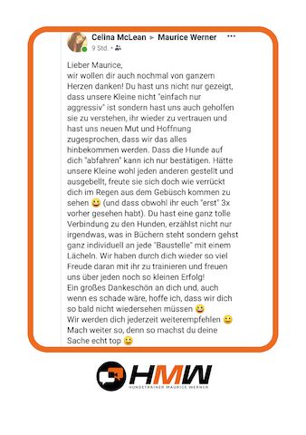 Professionelles Hundetraining – Persönlich oder auch via Video